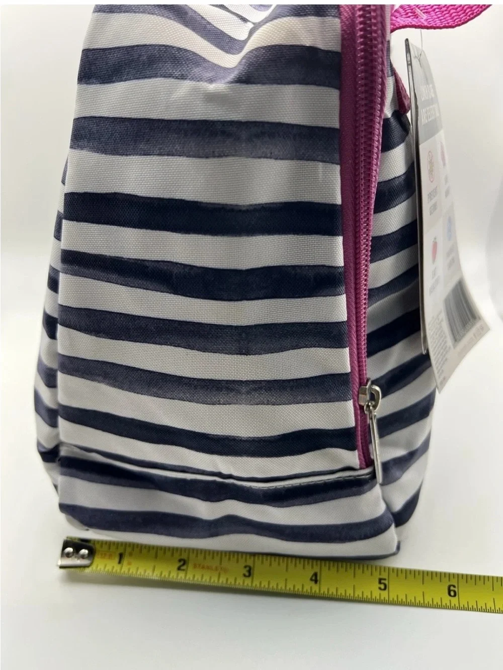 NEW Fit + Fresh Striped Lunch Tote Bag Antimicrobial w/ Snack Container